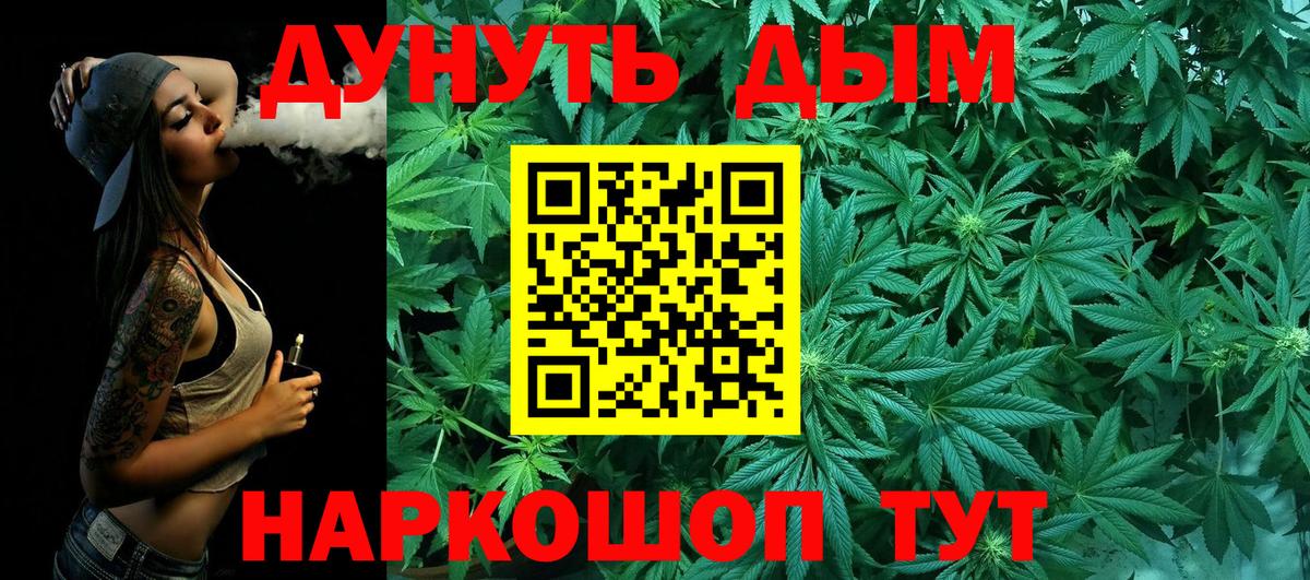 Каннабис сатива Элиста